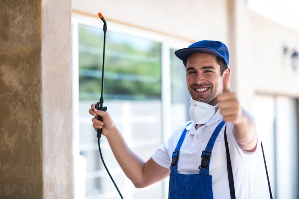 Sachse Wasp Removal