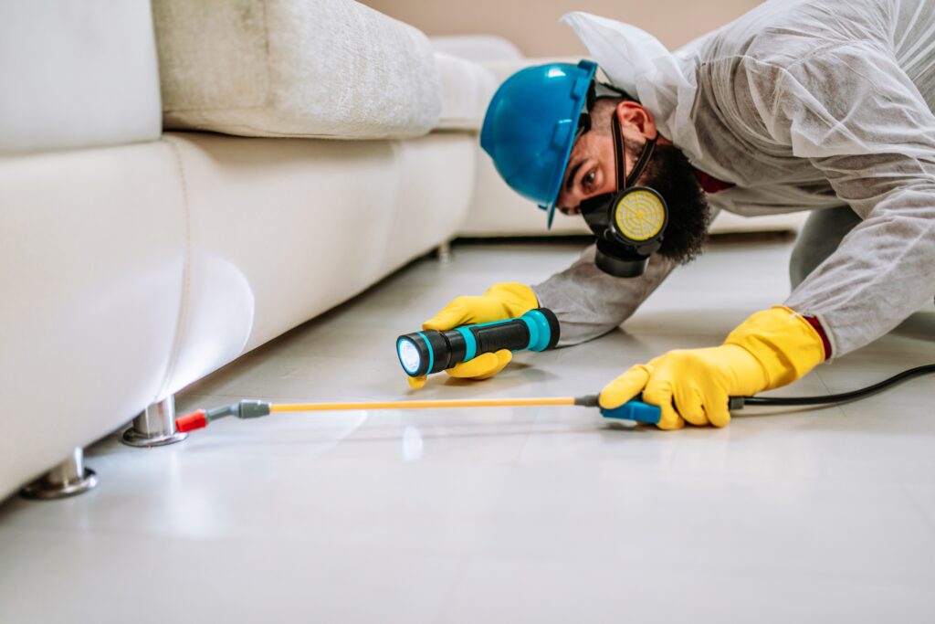 Sachse Termite Control
